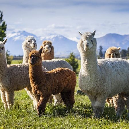 Criffel Station Farmstays Luggate Bagian luar foto